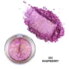 202 Raspberry